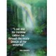 CAROL CAVALARIS GREETING CARD Healing Grotto